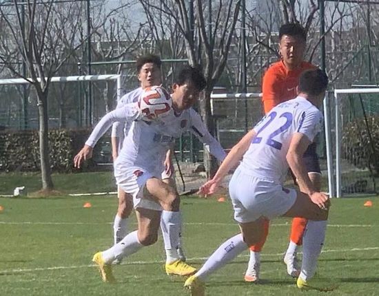 99精品视频在线观看免费专区