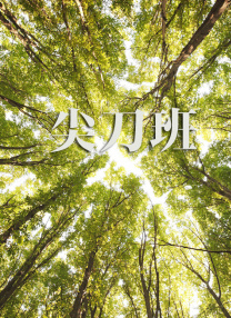 欧美一级毛片片aa视频